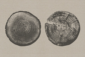 Tree Stump Textures - Vector & PNG