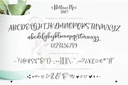 Bottoms Up Love Font Duo Extras, a Script Font by Emily Spadoni (Thumbnail 2 of 16)