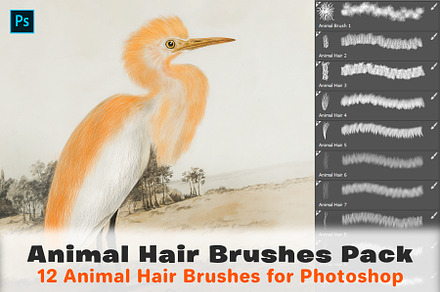 Animal Hair Brushes, a Brush Add-On by Velo Graphic Studio