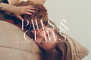 Mango Passion - Elegant Sans Serif, a Sans Serif Font by Schrifted Type (Thumbnail 5 of 8)