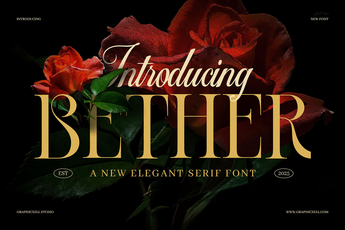 Bether Elegant Modern Serif Typeface, a Serif Font by Graphicxell (Photo 1 of 8)