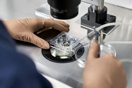 Process of in vitro fertilization in containing insemination, fertilization