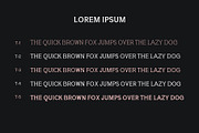 Yahya Slab Serif Font Family, a Slab Serif Font by Creativetacos (Thumbnail 4 of 12)