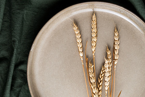 Dry ears of wheat on a beige plate a, a Food & Drink Photo by Edalin's Store