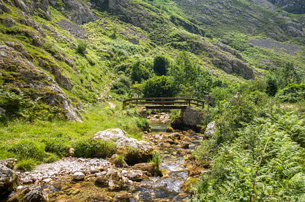 Wood bridge in Picos de Europa, Asturias, Spain, a Nature Photo by GoodGoods