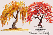 Watercolor Autumn Tree PNG Clipart, a Seasonal Illustration by SVGArt (Thumbnail 1 of 5)