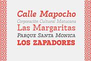 Tarif - 21 fonts, a Slab Serif Font by Zetafonts (Thumbnail 9 of 13)