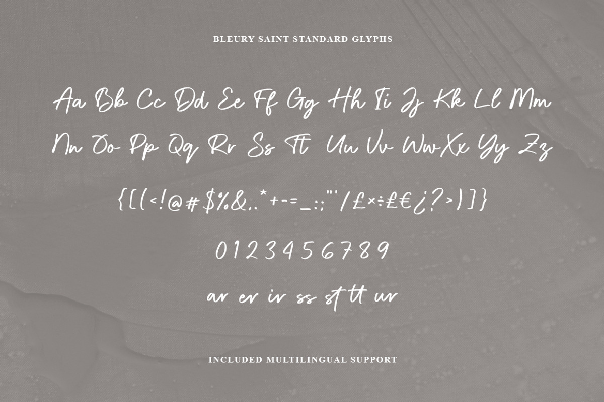 Bleury Saint Modern Script Font, a Script Font by Heinzel Std (Photo 13 of 14)