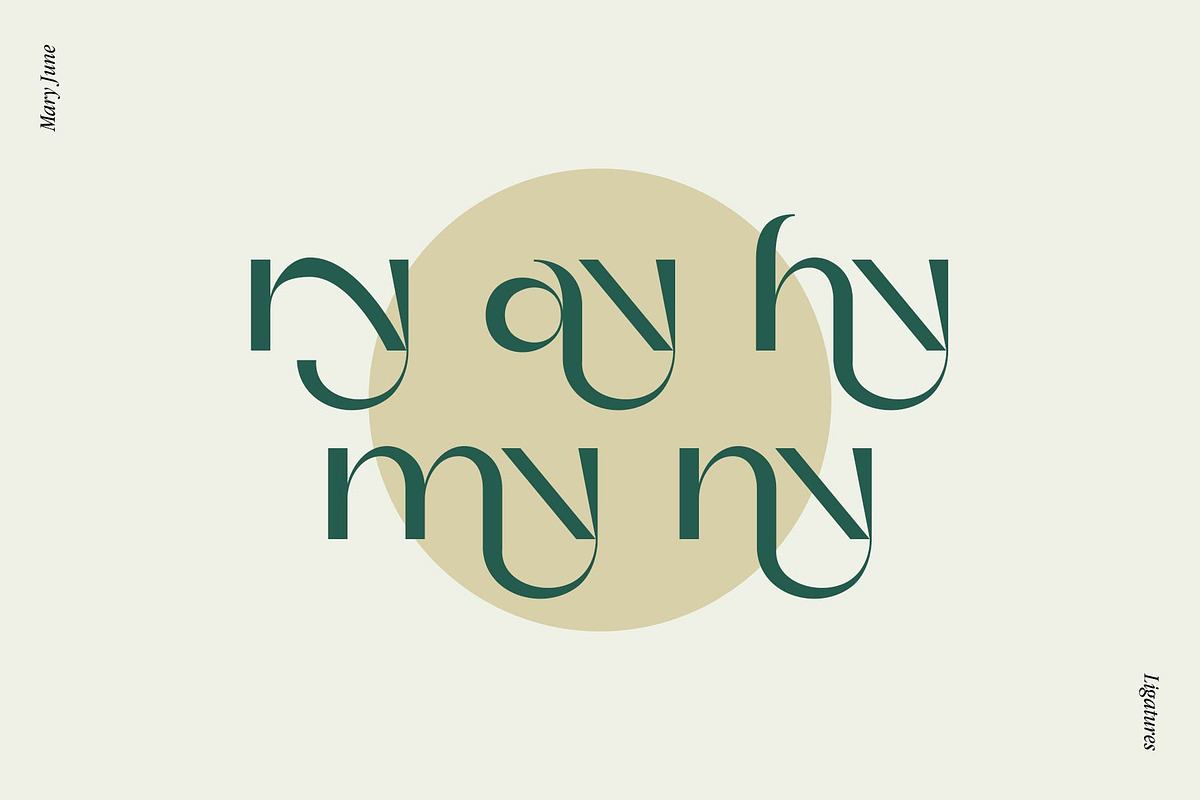 Mary June - A Modern Contrast Sans, a Sans Serif Font by StudioinBry (Photo 10 of 12)