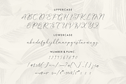 Kelarhisa Sokrate Beauty Script, a Script Font by Storytype Studio (Thumbnail 13 of 15)