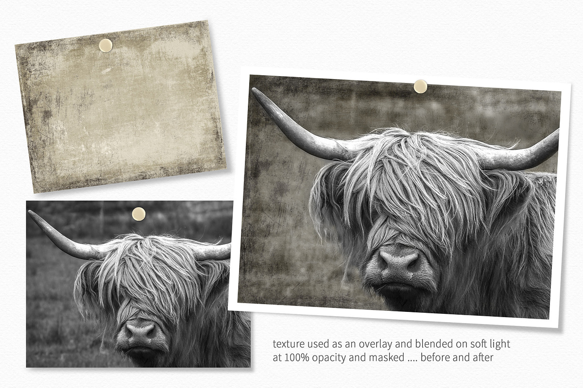Coastal Fog Neutrals, a Texture Graphic by rileyBgraphics (Photo 5 of 7)