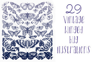 Vintage Winged Bugs