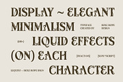 Lequito | Liquid Decorative Serif, a Serif Font by Hole Hope Design (Thumbnail 2 of 10)