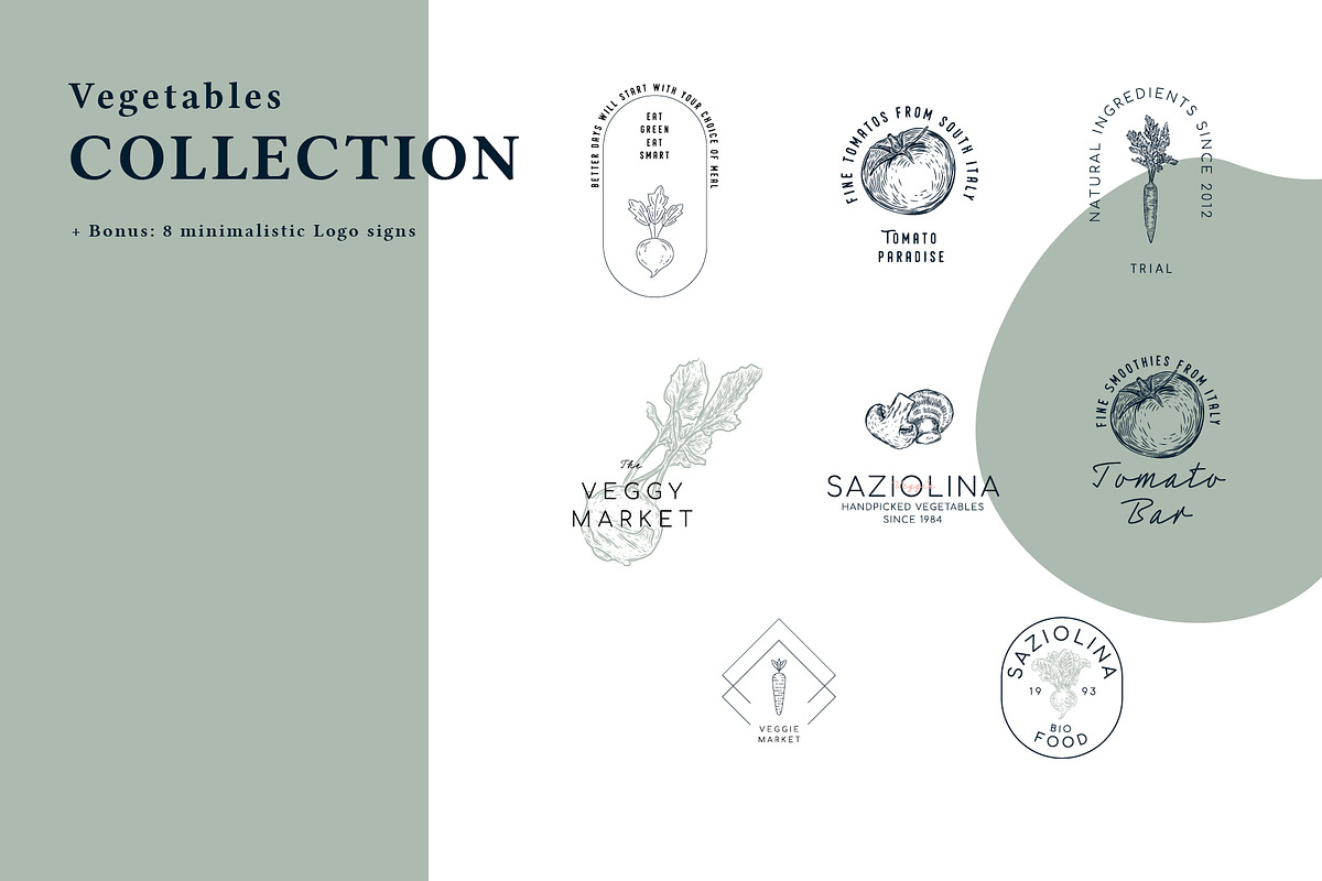 The Vegetables Collection, a Food Illustration by dicreate (Photo 7 of 14)