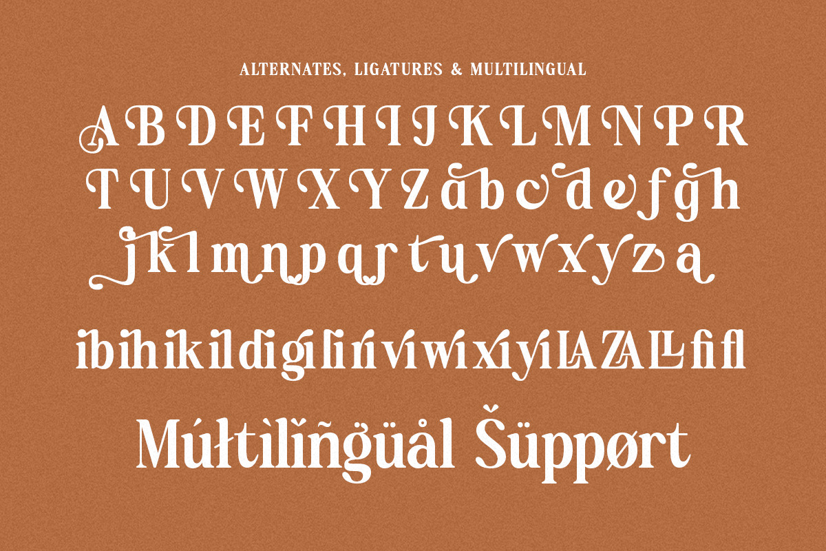 Reach Delight - Modern Retro Serif, a Serif Font by Shakira Studio (Photo 3 of 10)