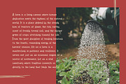 Argobel | Playful Quirky Handwritten, a Handwritten Font by Maenjari Std (Thumbnail 5 of 10)