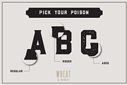 SALE | The Bestseller's Font Bundle, a Sans Serif Font by Hustle Supply Co. (Thumbnail 9 of 62)