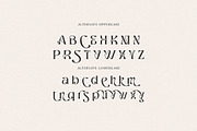 Ragnheidr Unique Serif, a Serif Font by Cruzine (Thumbnail 6 of 8)