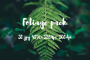 Foliage pack, a Templates & Theme by ApertureVintage (Thumbnail 15 of 21)