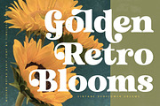 Trendy Voyage Modern Retro Serif, a Serif Font by timelesstype.co (Thumbnail 13 of 20)