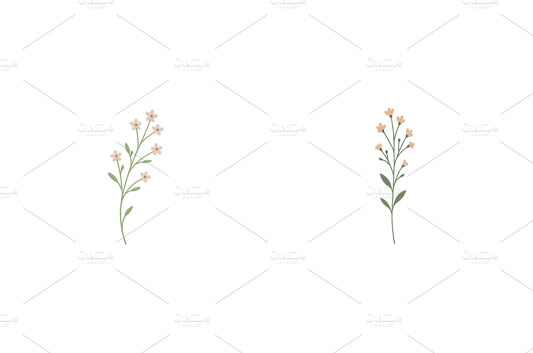 Delicate floral illustrations on a, a Nature Photo by ZinetroN