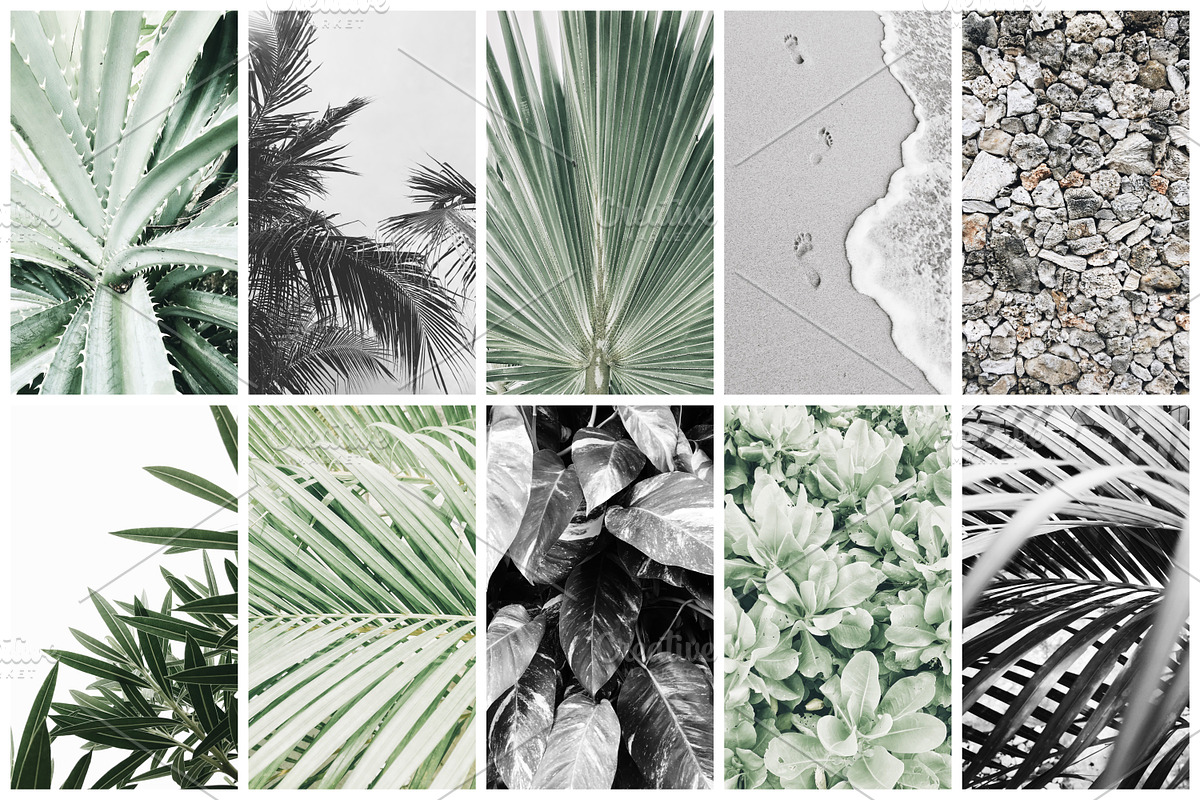 98% OFF | Tropical Bundle | 170 IN 1, a Photo by Floral Deco (Photo 9 of 14)