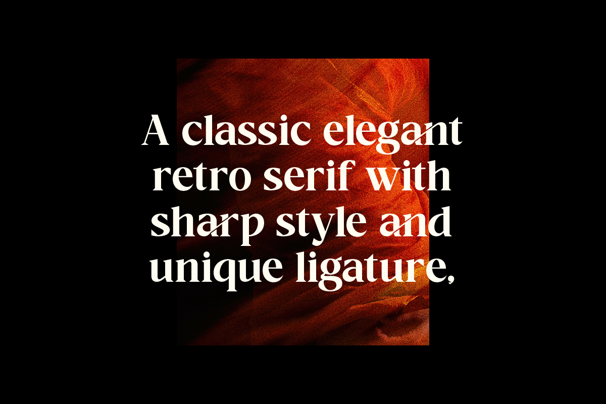 Raphen Madam - Classic Elegant Serif, a Serif Font by Pandeka Studio (Photo 10 of 12)