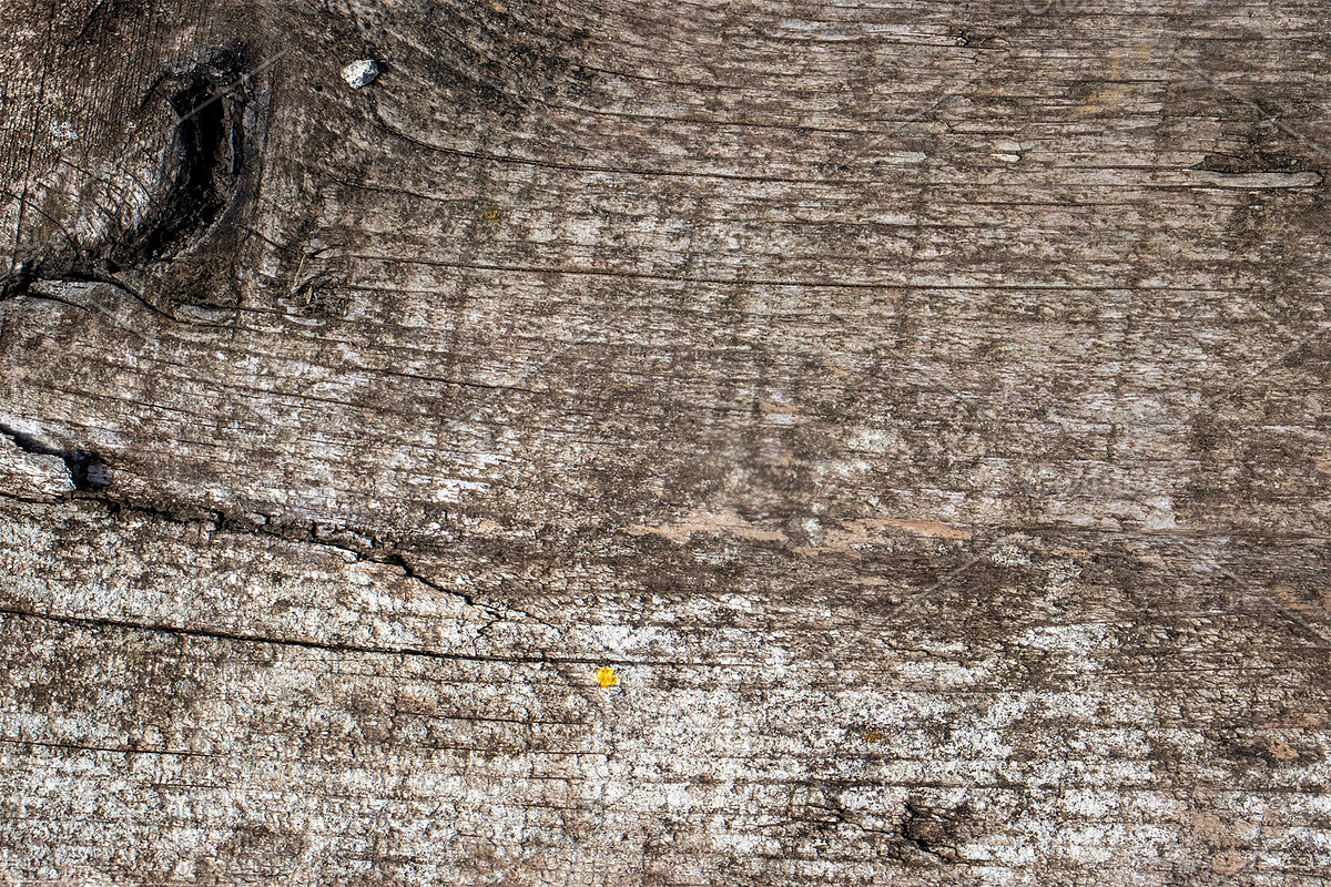 Natural wood texture patterns, a Background Photo by Schreibikus (Photo 1 of 8)
