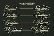Ocean Delight a Stylish Script Font, a Script Font by Blankids Studio (Thumbnail 7 of 13)
