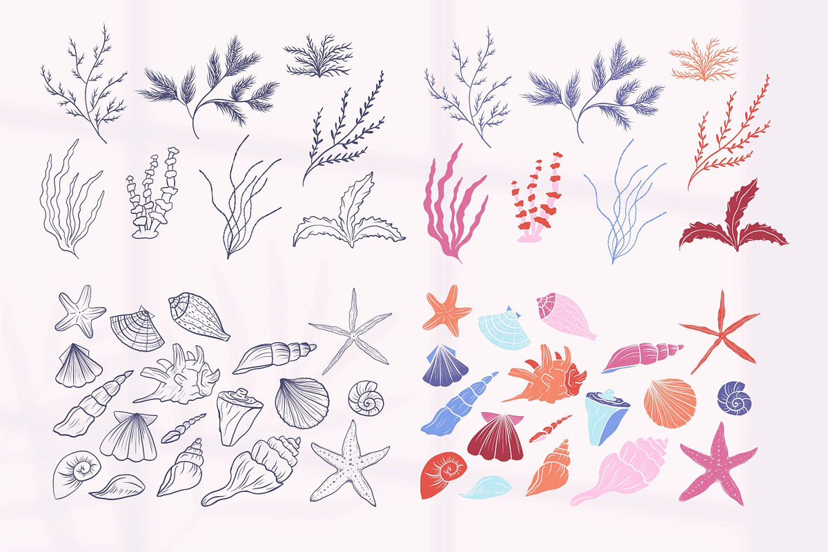 Hand-Drawn Marine Clipart & Patterns, a Decorative Illustration by CapriceMeDesigns (Photo 4 of 21)