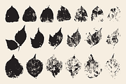 Stamped Prints of Leaves & Flowers, an Object Graphic by Yasir Ekinci (Thumbnail 5 of 14)