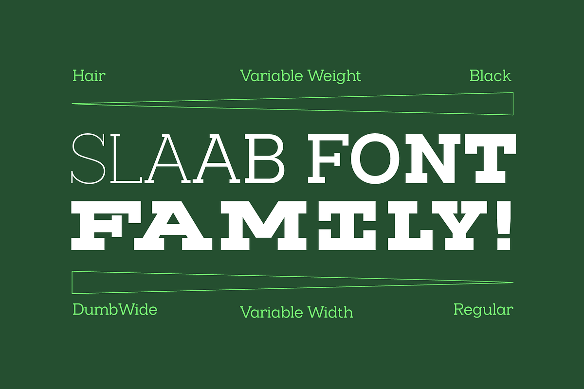 Slaab Font Family 45 Styles, a Slab Serif Font by That That Creative (Photo 8 of 13)