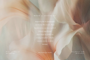 Aesthetic Blurry Floral Backgrounds, a Background Graphic by Altea Design Studio (Thumbnail 4 of 14)