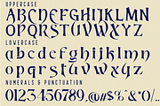 INTRICATE NARRATIVE FONT, a Sans Serif Font by 177Studio (Thumbnail 8 of 8)