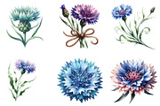 Blue Cornflower Clipart, an Illustration by DreamArtGraphic (Thumbnail 2 of 6)