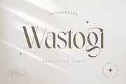 Wastogi Beautiful Serif, a Serif Font by Creatype Studio (Thumbnail 1 of 10)