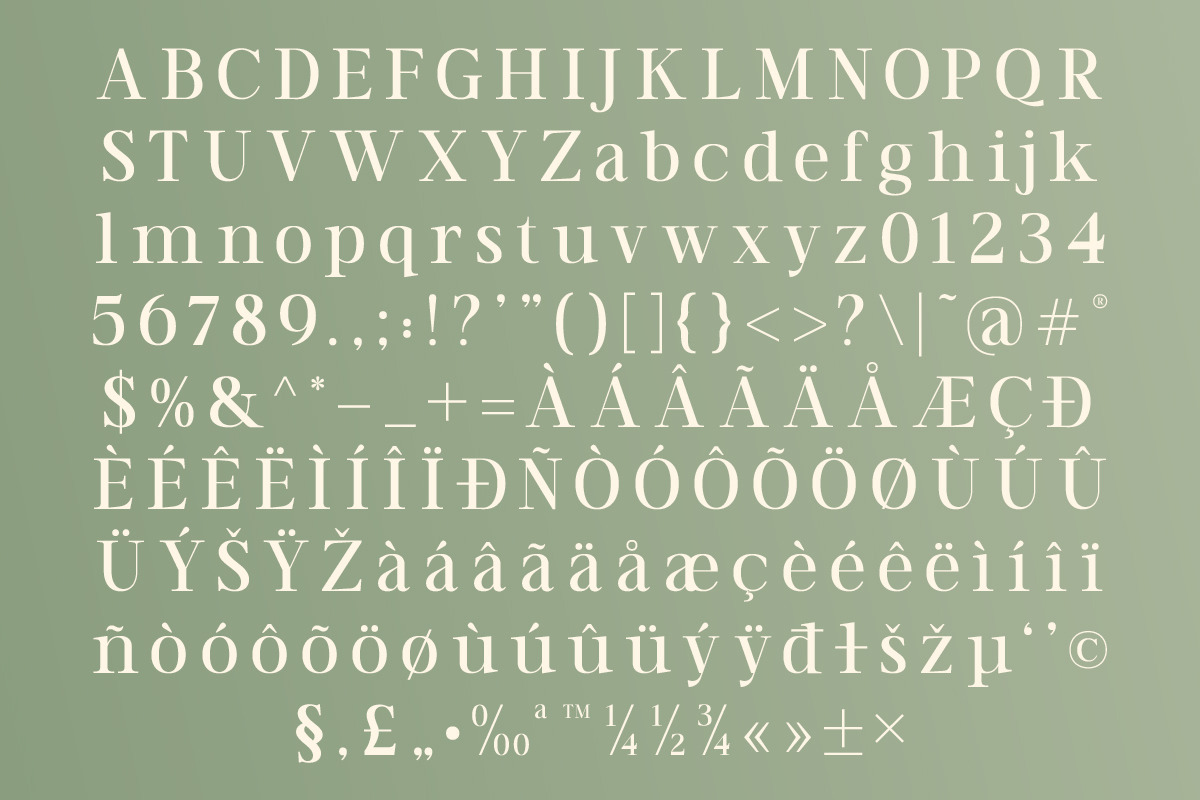 TT Vermolin — Modern Classy Serif, a Serif Font by truetype (Photo 2 of 15)