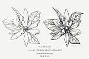 Flowers Ylang Ylang. Botanical set, an Object Graphic by ON_lineart_store (Thumbnail 2 of 8)