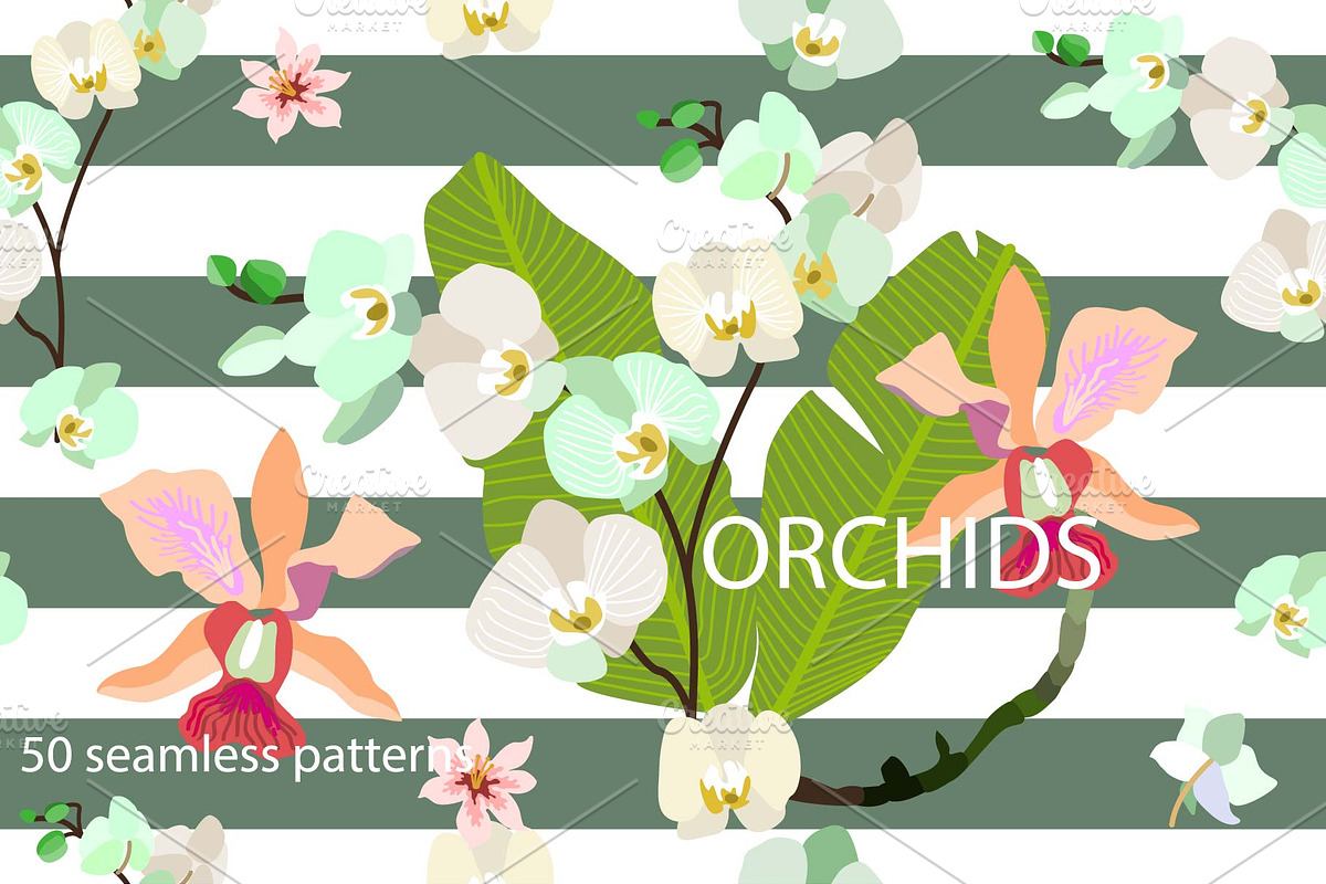 Tropical Orchids, a Pattern Graphic by Svetlana Kononova (Photo 3 of 5)