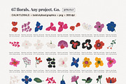Flower Market Botanical Graphics, a Decorative Illustration by likorbut (Thumbnail 6 of 9)