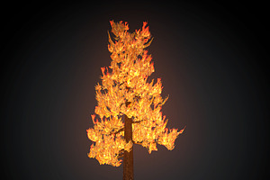 Burning Tree Big