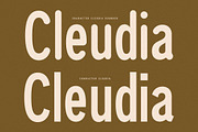 Cleudia Duo Font Sans Serif, a Sans Serif Font by Storytype Studio (Thumbnail 9 of 15)