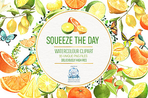 Lemon Lime Orange Watercolor Bundle