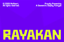 Rayakan - Geometric Display