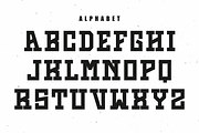 Strange Memory - Vintage Slab Serif, a Slab Serif Font by Pian45 Studio (Thumbnail 3 of 8)