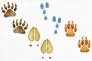 70% off. Bundle. Woodland animals., an Animal Illustration by TaPilipa (Thumbnail 22 of 38)