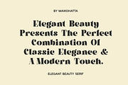 Aelica - Elegant Serif Font, a Serif Font by MaikoHatta (Thumbnail 8 of 10)
