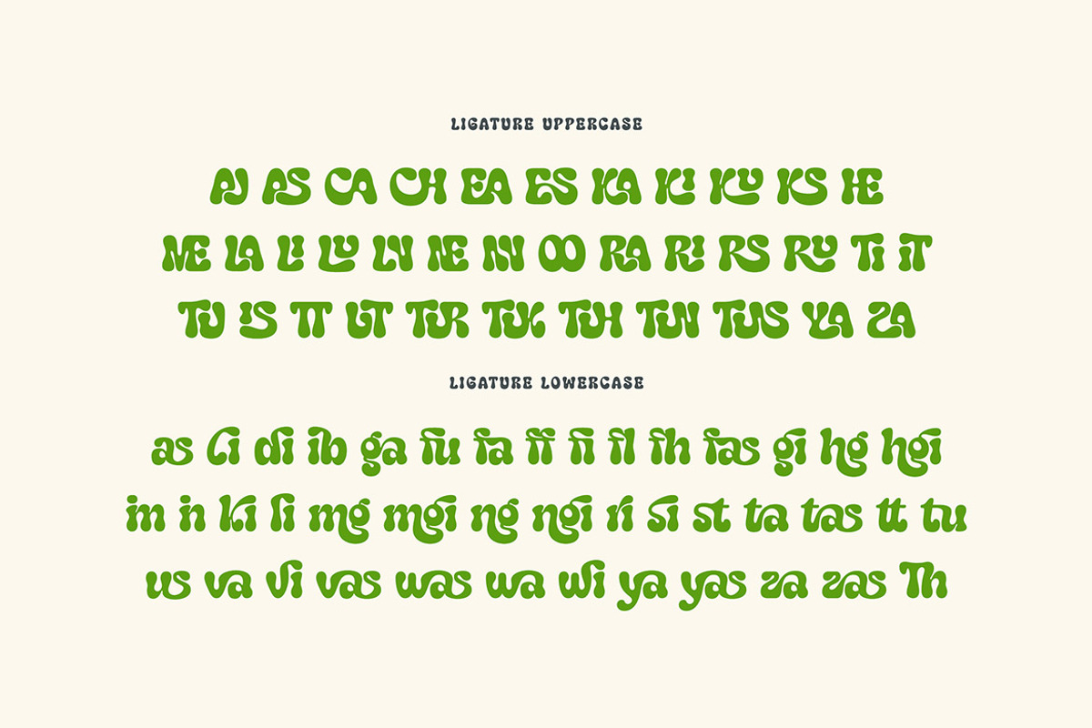 Brice Hacking Groovy Display Font, a Handwritten Font by Cruzine (Photo 7 of 8)