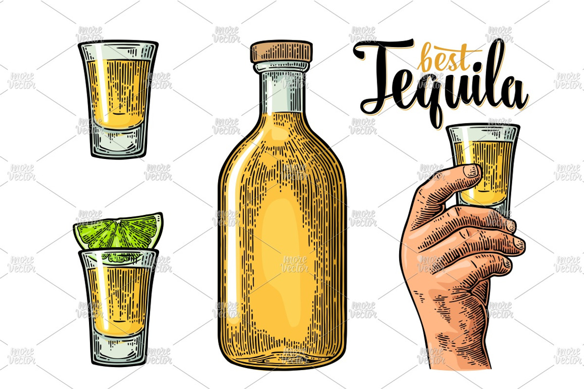 Tequila. Illustrations and posters, an Illustration by MoreVector (Photo 3 of 11)