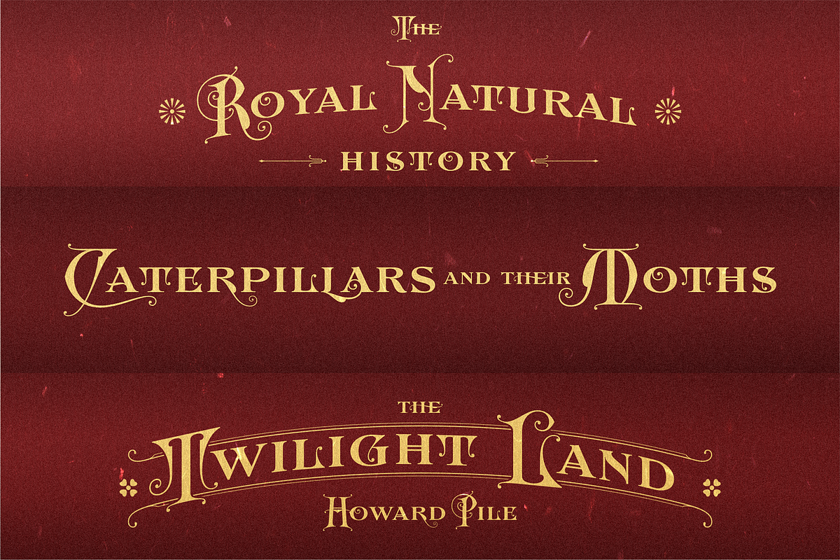 AM Rosnely (Disc 20%), a Serif Font by Akarmati (Photo 5 of 10)